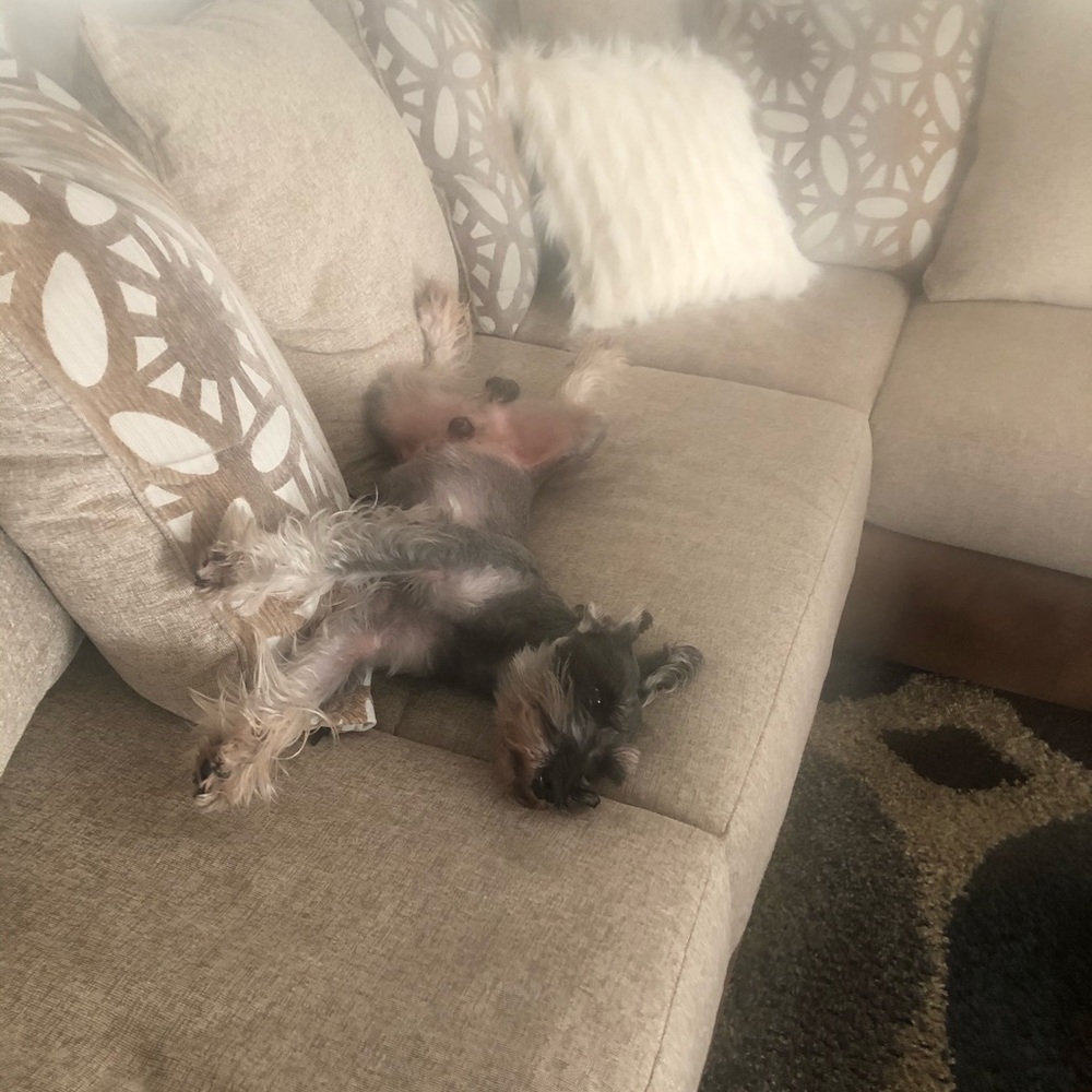 Meet your Posher, Jackie